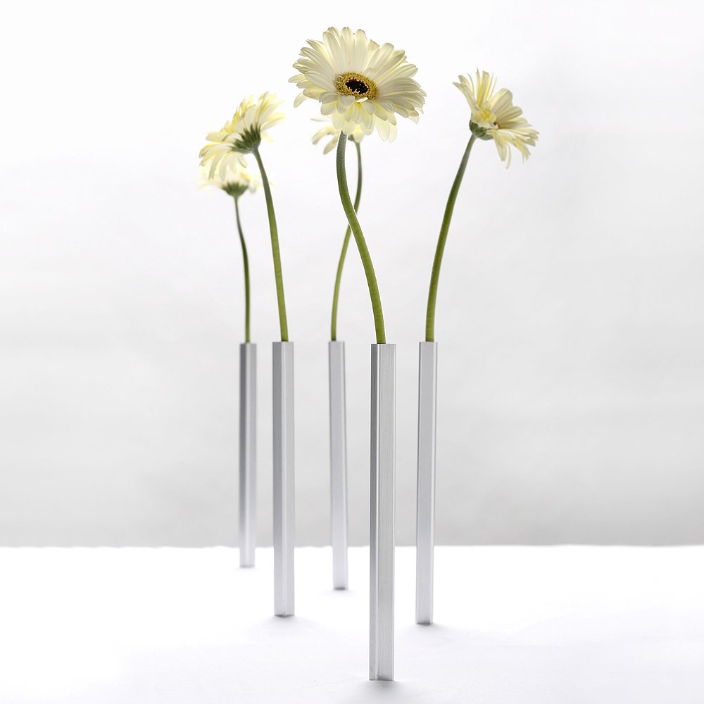 Peleg-Design PE543 Business Magnetic Vase