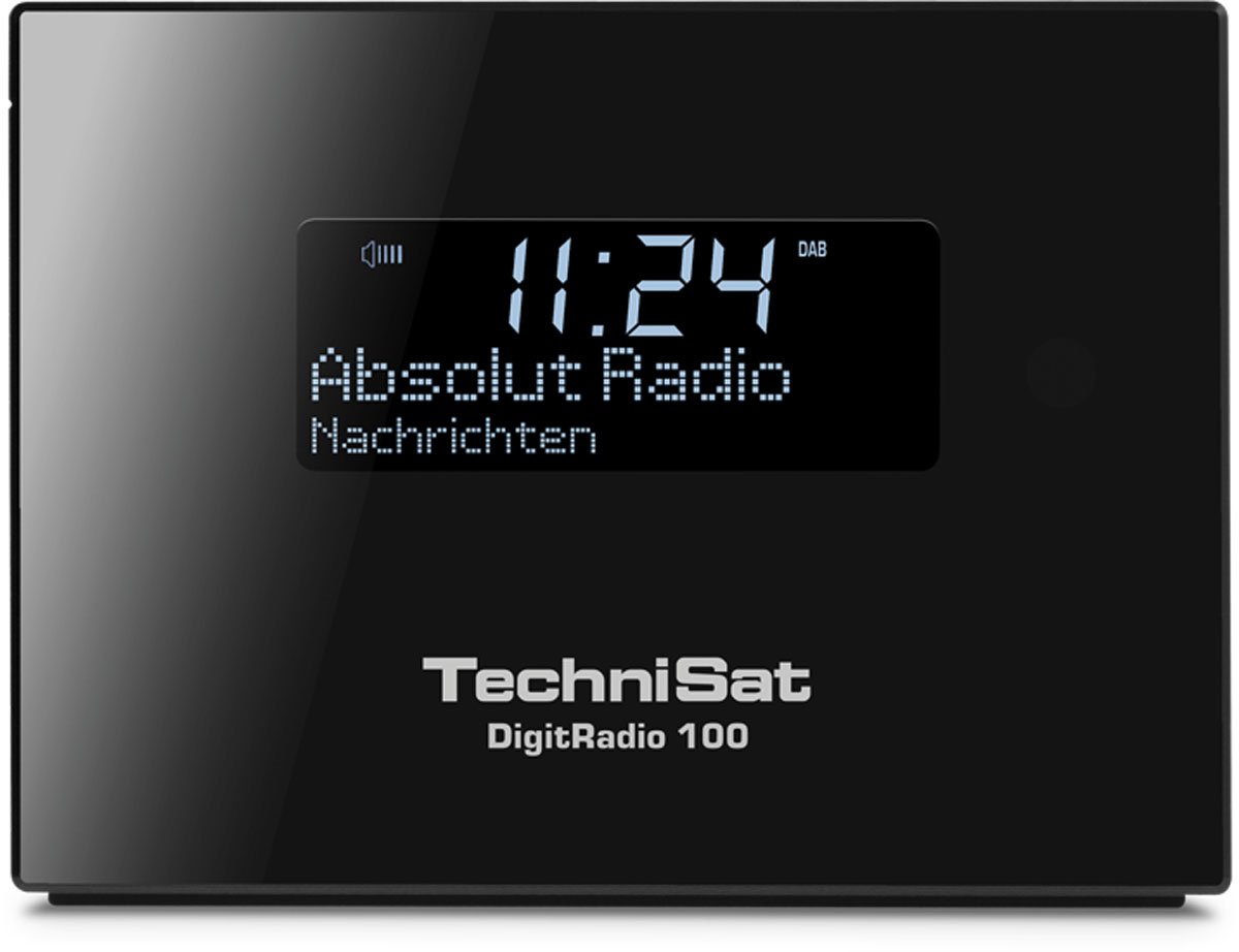 TechniSat DigitRadio 100 - DAB+/UKW Empfangsteil