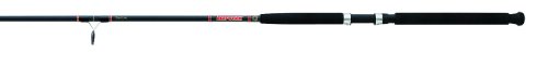 Daiwa BFBT66XHR Beefstick Salt Water Trolling and Bottom Fishing Rod (6-1/2 Feet, Extra Heavy, 30-50 Pounds)