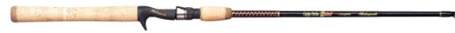 Shakespeare One-Piece Medium Action Ugly Stik Inshore Casting Rod (6-Feet 6-Inch)