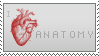 Stamp 18; Anatomy