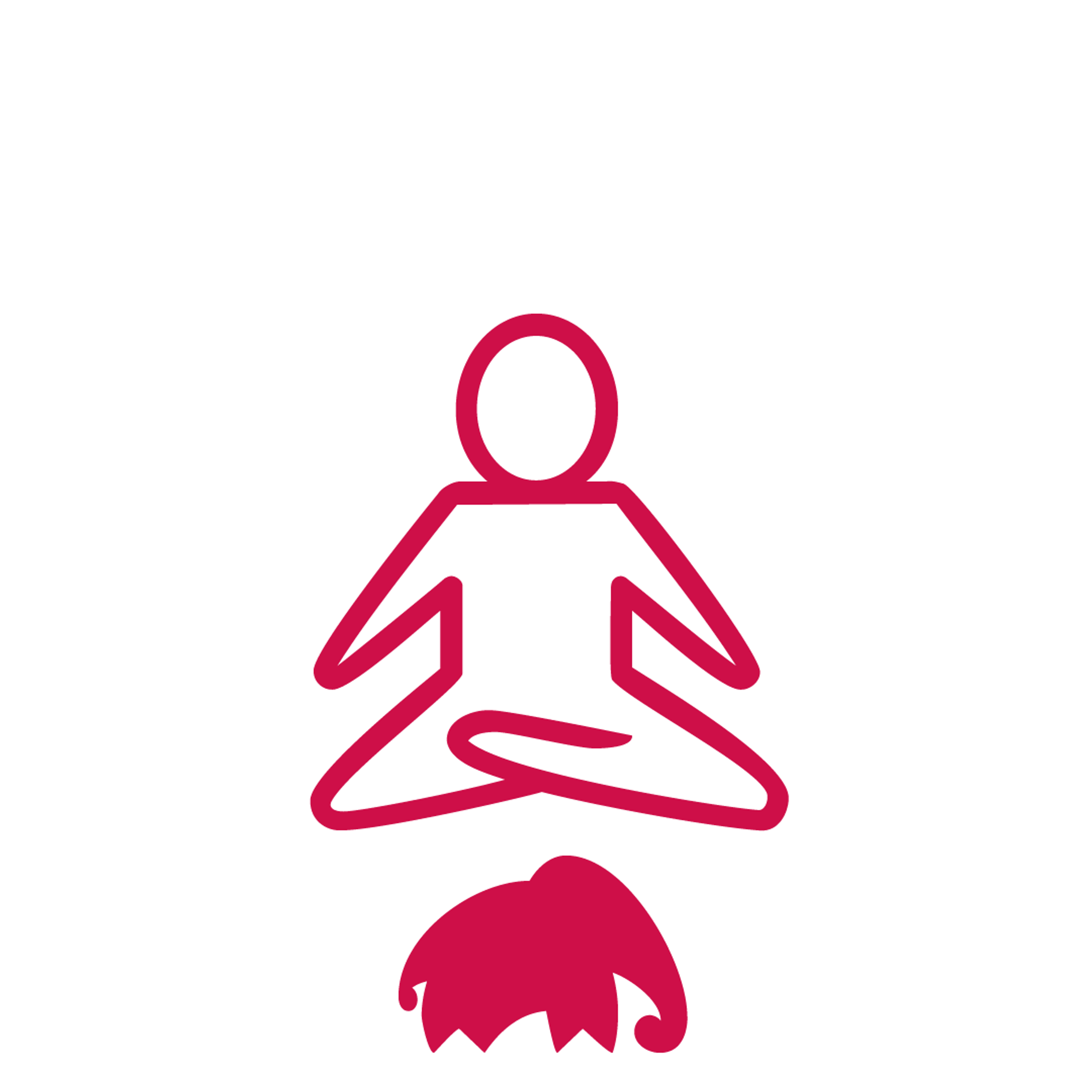 Leschifant avec un yogi