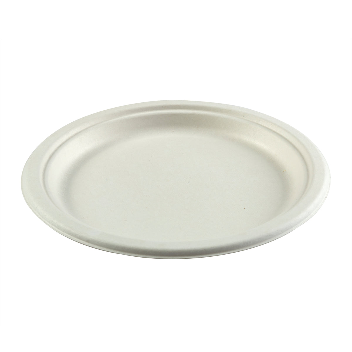 PLATE EPL-06 WHITE 6