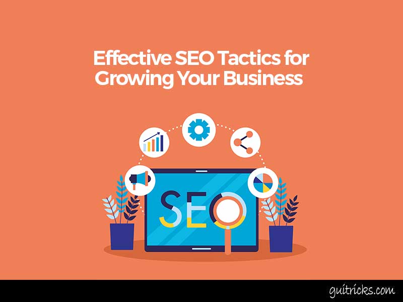 Effective SEO Tactics for Growing Your Business 
