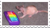 Stamp 53; Rat infront of a toy xylophone