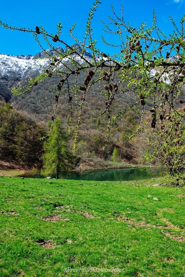 Fotografie di Chianale - Valle Varaita - Lago di Gourc 
