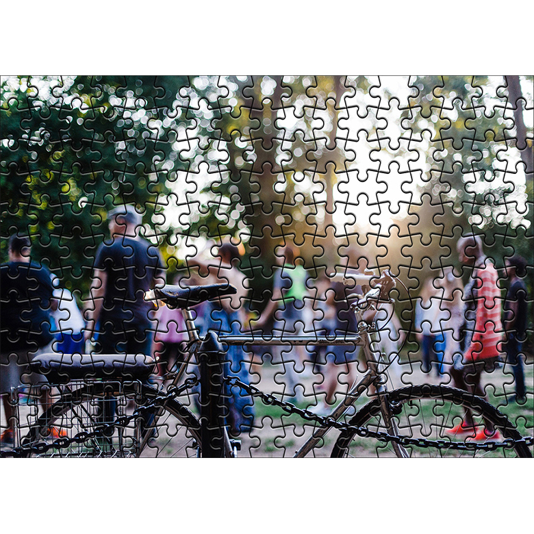 다모아 시험관퍼즐 메리디언힐공원, 204피스, 혼합 색상 