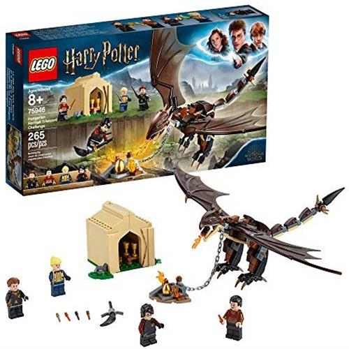 LEGO Harry Potter and The Goblet of Fire Hungarian Horntail Triwizard Chall, 본품선택 