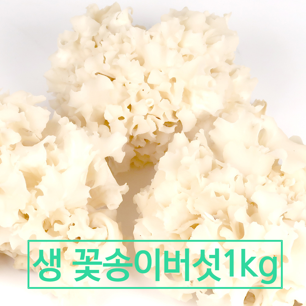 국내산 무농약 생꽃송이버섯 1kg, 1개