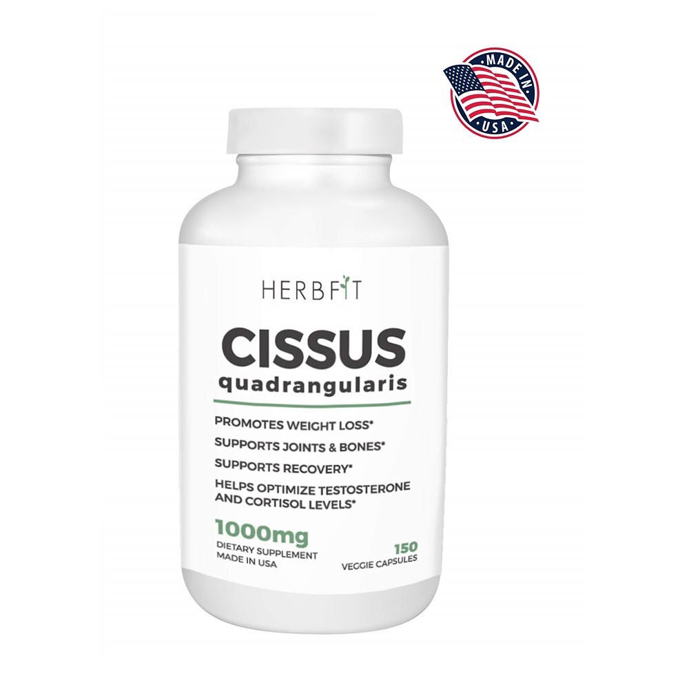 HERBFIT 미국 2개 Cissus Quadrangularis 시서스 1000mg 150캡슐 