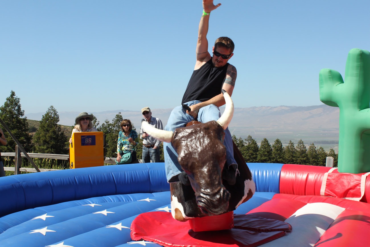 Pick Your Dream Mechanical Bull Today With Our Company